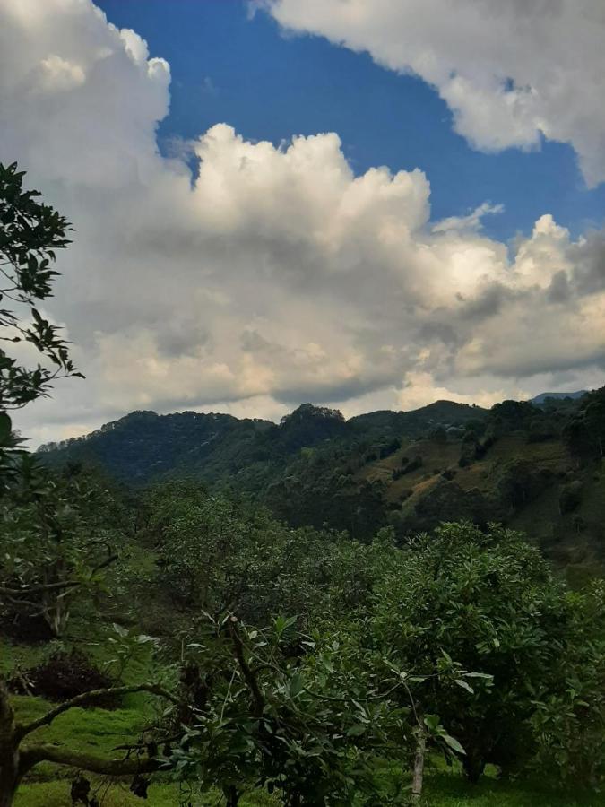 Alojamiento Rural San Francisco Salento Dış mekan fotoğraf